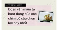 Đoạn văn miêu tả hoạt động của con chim bồ câu chọn lọc hay nhất