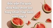 Bài văn Tả quả dưa hấu chọn lọc hay nhất Tập làm văn lớp 5