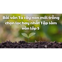 Bài văn Tả cây non mới trồng chọn lọc hay nhất Tập làm văn lớp 5
