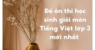 Đề ôn thi học sinh giỏi môn Tiếng Việt lớp 3 mới nhất có đáp án