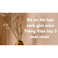 Đề ôn thi học sinh giỏi môn Tiếng Việt lớp 3 mới nhất có đáp án