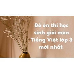 Đề ôn thi học sinh giỏi môn Tiếng Việt lớp 3 mới nhất có đáp án