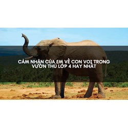 Cảm nhận của em về con voi trong vườn thú lớp 4 Hay Nhất