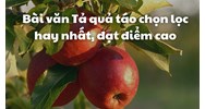Bài văn Tả quả táo chọn lọc hay nhất, đạt điểm cao