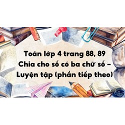 Toán lớp 4 trang 88, 89 Chia cho số có ba chữ số - Luyện tập (phần tiếp theo)
