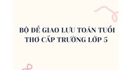 Bộ đề giao lưu Toán tuổi thơ cấp trường lớp 5