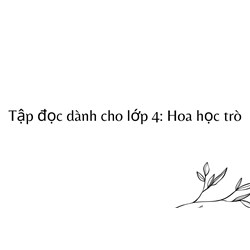 Tập đọc dành cho lớp 4: Hoa học trò