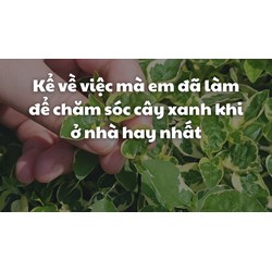 Kể về việc mà em đã làm để chăm sóc cây xanh khi ở nhà hay nhất