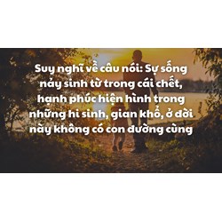 Suy nghĩ về câu nói Sự sống nảy sinh từ trong cái chết ... siêu hay
