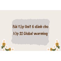 Bài tập Unit 6 dành cho lớp 11 Global warming