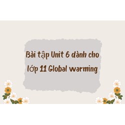 Bài tập Unit 6 dành cho lớp 11 Global warming