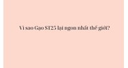 Vì sao Gạo ST25 lại ngon nhất thế giới