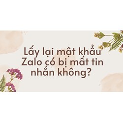 Lấy lại mật khẩu Zalo có bị mất tin nhắn không?