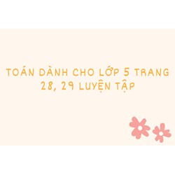 Toán dành cho lớp 5 trang 28, 29 Luyện tập