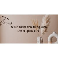 5 Đề kiểm tra tiếng Anh lớp 4 giữa kì 2