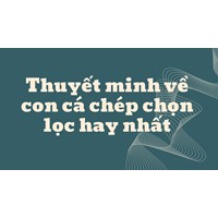 Thuyết minh về con cá chép chọn lọc hay nhất