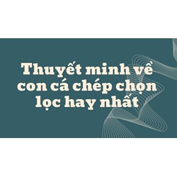 Thuyết minh về con cá chép chọn lọc hay nhất