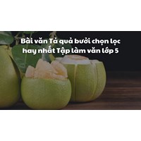 Bài văn Tả quả bưởi chọn lọc hay nhất Tập làm văn lớp 5