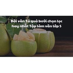 Bài văn Tả quả bưởi chọn lọc hay nhất Tập làm văn lớp 5