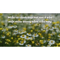 Miêu tả cảnh đẹp nơi em ở vào một mùa trong năm siêu hay