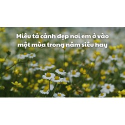 Miêu tả cảnh đẹp nơi em ở vào một mùa trong năm siêu hay