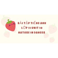 Bài tập tiếng Anh lớp 11 Unit 10 Nature in danger