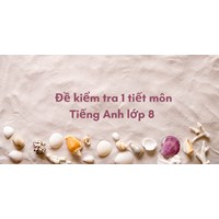 Đề kiểm tra 1 tiết môn Tiếng Anh lớp 8