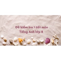 Đề kiểm tra 1 tiết môn Tiếng Anh lớp 8