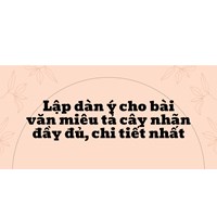 Lập dàn ý cho bài văn miêu tả cây nhãn đầy đủ, chi tiết nhất
