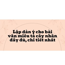 Lập dàn ý cho bài văn miêu tả cây nhãn đầy đủ, chi tiết nhất