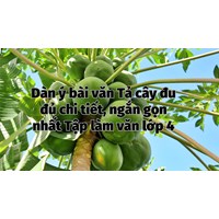 Dàn ý bài văn Tả cây đu đủ chi tiết, ngắn gọn nhất Tập làm văn lớp 4