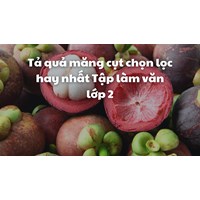 Tả quả măng cụt chọn lọc hay nhất Tập làm văn lớp 2