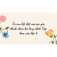 Tả con lật đật mà em yêu thích hay nhất Tập làm văn lớp 4