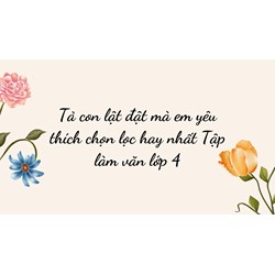 Tả con lật đật mà em yêu thích hay nhất Tập làm văn lớp 4