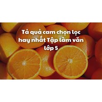 Tả quả cam chọn lọc hay nhất Tập làm văn lớp 5