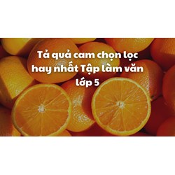 Tả quả cam chọn lọc hay nhất Tập làm văn lớp 5
