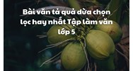 Bài văn tả quả dừa chọn lọc hay nhất Tập làm văn lớp 5