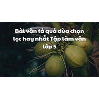 Bài văn tả quả dừa chọn lọc hay nhất Tập làm văn lớp 5