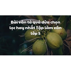 Bài văn tả quả dừa chọn lọc hay nhất Tập làm văn lớp 5
