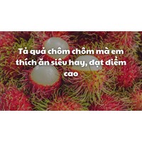 Tả quả chôm chôm mà em thích ăn siêu hay, đạt điểm cao