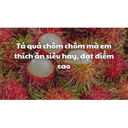 Tả quả chôm chôm mà em thích ăn siêu hay, đạt điểm cao