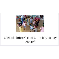 Cách tổ chức trò chơi Chim bay cò bay cho trẻ