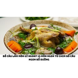 Bồ câu làm món gì ngon? 13 món ngon từ chim bồ câu ngon bổ dưỡng