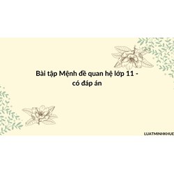 Bài tập Mệnh đề quan hệ Tiếng anh lớp 11 - Có đáp án