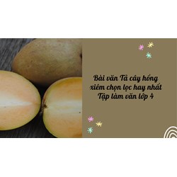 Bài văn Tả cây hồng xiêm chọn lọc hay nhất Tập làm văn lớp 4