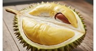 Bài văn Tả quả sầu riêng chọn lọc hay nhất