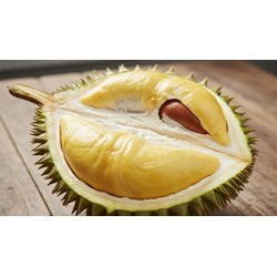 Bài văn Tả quả sầu riêng chọn lọc hay nhất