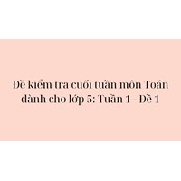Đề kiểm tra cuối tuần môn Toán dành cho lớp 5: Tuần 1 - Đề 1
