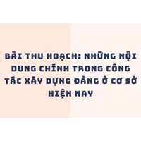 Bài thu hoạch: những nội dung chính trong công tác xây dựng Đảng ở cơ sở hiện nay