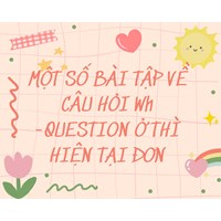Một số bài tập về câu hỏi Wh-question ở thì hiện tại đơn